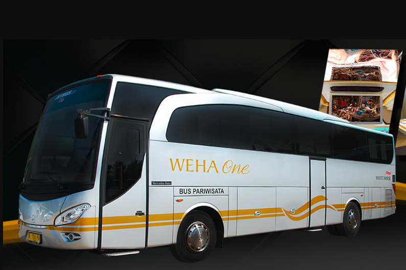 Bus WeHa One Pariwisata